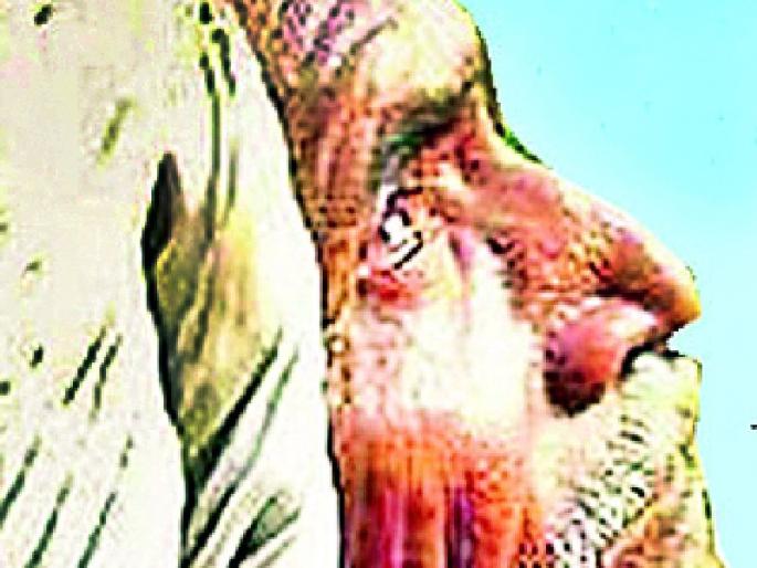 The farmer turned his back on the rain and became anxious | पावसाने फिरविली पाठ शेतकरी झाला चिंतातूर