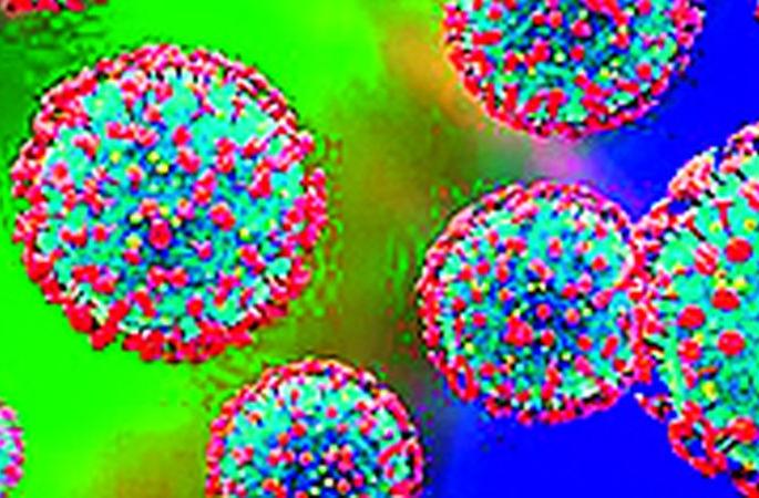 New Year's wedding ceremony in the presence of only 50 guests | नवीन वर्षात लग्न समारंभ केवळ 50 पाहुण्यांच्या उपस्थितीत New Year's wedding ceremony in the presence of only 50 guests | नवीन वर्षात लग्न समारंभ केवळ 50 पाहुण्यांच्या उपस्थितीत