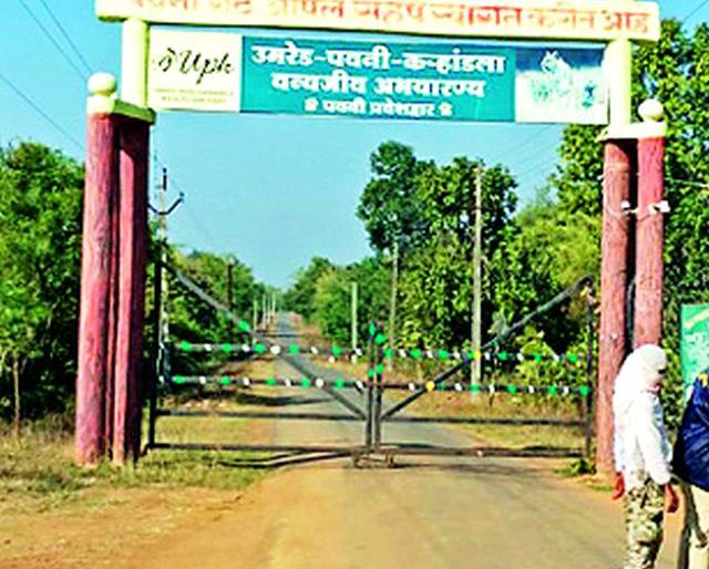 The sanctuary shakes the death of two tigers | दोन वाघांच्या मृत्यूने अभयारण्य हादरले The sanctuary shakes the death of two tigers | दोन वाघांच्या मृत्यूने अभयारण्य हादरले