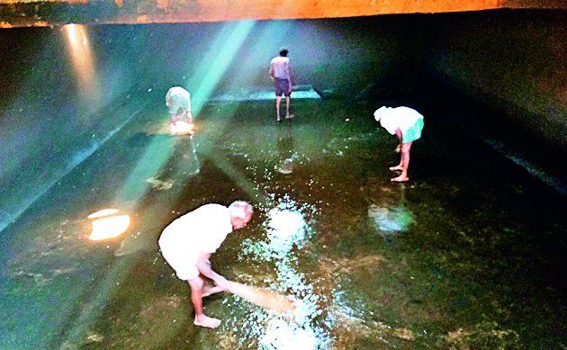 Adulalas suffer from contaminated water | दूषित पाण्याने अड्याळवासी त्रस्त Adulalas suffer from contaminated water | दूषित पाण्याने अड्याळवासी त्रस्त