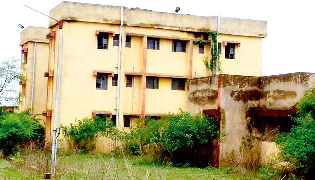 Health workers know about the desert settlements | आरोग्य कर्मचारी वसाहत वाळवीच्या विळख्यात Health workers know about the desert settlements | आरोग्य कर्मचारी वसाहत वाळवीच्या विळख्यात