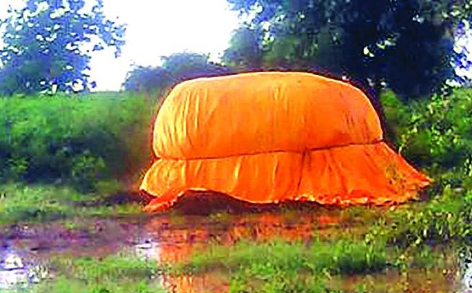 Buldana: Kharif payscale on 43 paise | बुलडाणा: खरीप अंतीम पैसेवारी ४३ पैसे Buldana: Kharif payscale on 43 paise | बुलडाणा: खरीप अंतीम पैसेवारी ४३ पैसे