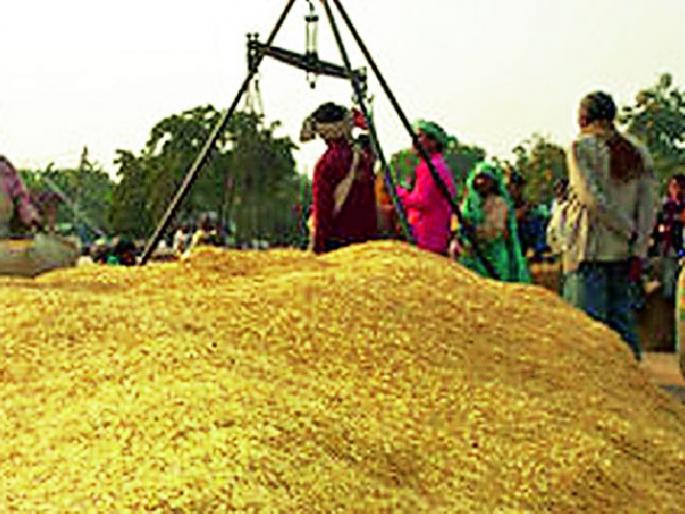 Paddy procurement started at 3 centers in the district | जिल्ह्यात २८ केंद्रांवर धान खरेदीला सुरूवात
