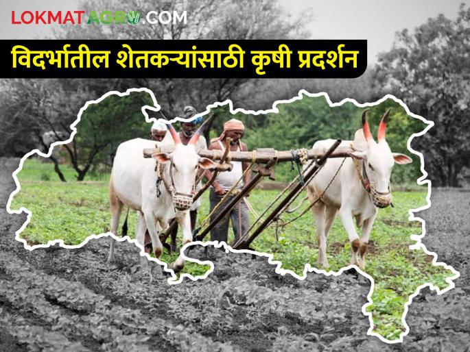 Agricultural exhibition from 3rd to 7th January for farmers in Vidarbha | विदर्भातील शेतकरी बांधवांसाठी ३ ते ७ जानेवारीदरम्यान कृषी प्रदर्शन Agricultural exhibition from 3rd to 7th January for farmers in Vidarbha | विदर्भातील शेतकरी बांधवांसाठी ३ ते ७ जानेवारीदरम्यान कृषी प्रदर्शन