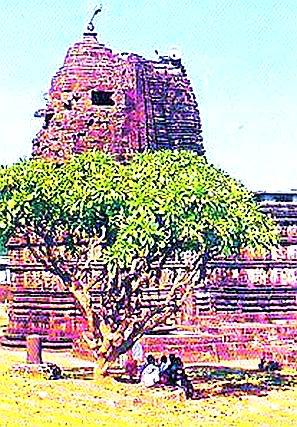 9 8 Marathon Road Travel Special | ९८ बसगाड्या राहणार मार्कंडा यात्रा स्पेशल 9 8 Marathon Road Travel Special | ९८ बसगाड्या राहणार मार्कंडा यात्रा स्पेशल