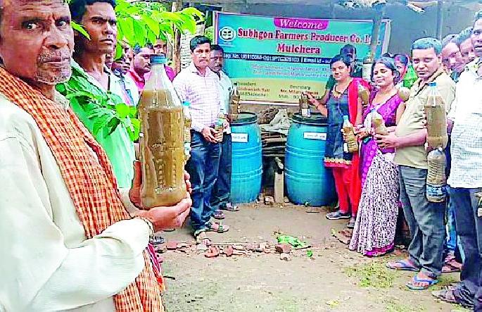 Organic kidney controllers were created by farmers | शेतकऱ्यांनी तयार केले सेंद्रीय किडनियंत्रक Organic kidney controllers were created by farmers | शेतकऱ्यांनी तयार केले सेंद्रीय किडनियंत्रक