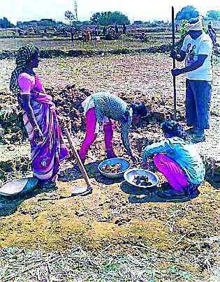 Rs 83 crores expenditure on ROHOVO | रोहयोवर ८३ कोटींचा खर्च Rs 83 crores expenditure on ROHOVO | रोहयोवर ८३ कोटींचा खर्च