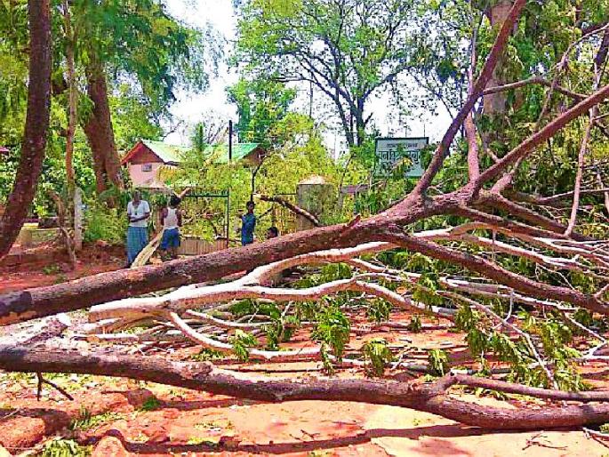 Bhamragad Storm Storm | भामरागडला वादळाचा तडाखा Bhamragad Storm Storm | भामरागडला वादळाचा तडाखा
