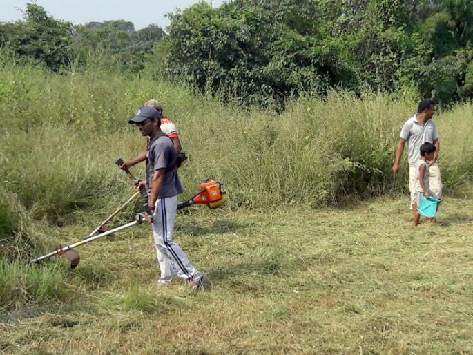 Sonruli Mauli's Lotsangana Jatrootsav, cleaning work starts at war footing | सोनुर्ली माऊलीचा लोटांगणाचा जत्रोत्सव, साफसफाईचे काम युद्धपातळीवर सुरू Sonruli Mauli's Lotsangana Jatrootsav, cleaning work starts at war footing | सोनुर्ली माऊलीचा लोटांगणाचा जत्रोत्सव, साफसफाईचे काम युद्धपातळीवर सुरू