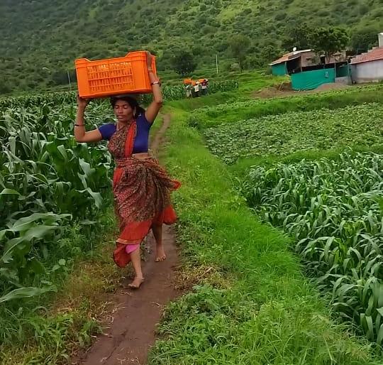 Encroachment on paved roads and nallas; Neglect of administration | पांदण रस्ता-नाल्यांवर अतिक्रमण ; प्रशासनाचे दुर्लक्ष Encroachment on paved roads and nallas; Neglect of administration | पांदण रस्ता-नाल्यांवर अतिक्रमण ; प्रशासनाचे दुर्लक्ष