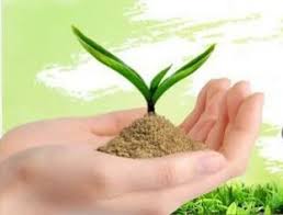 Expect a boom from the agricultural sector in the new year | नवीन वर्षात कृषी क्षेत्राकडून तेजीची अपेक्षा Expect a boom from the agricultural sector in the new year | नवीन वर्षात कृषी क्षेत्राकडून तेजीची अपेक्षा