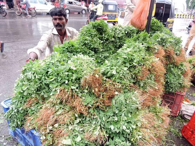 Half of the palebajas in the Satara market ...! | साताऱ्याच्या बाजारपेठेत पालेभाज्यांचे अर्धशतक...! Half of the palebajas in the Satara market ...! | साताऱ्याच्या बाजारपेठेत पालेभाज्यांचे अर्धशतक...!