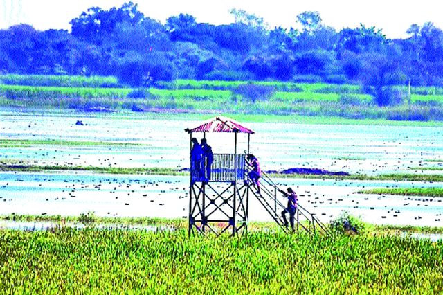 The third eye will be kept to prevent infiltration | घुसखोरी रोखण्यासाठी ‘तिसरा डोळा’ ठेवणार लक्ष