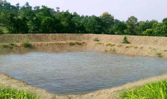 Half of the approved projects in the year are incomplete | वर्षभरात मंजूर केलेल्या निम्मे शेततळ्यांची कामे अपूर्ण Half of the approved projects in the year are incomplete | वर्षभरात मंजूर केलेल्या निम्मे शेततळ्यांची कामे अपूर्ण