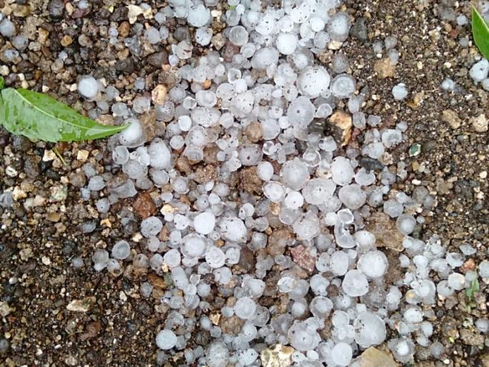 Hail Showers at Datali | दातली येथे गारांचा पाऊस Hail Showers at Datali | दातली येथे गारांचा पाऊस