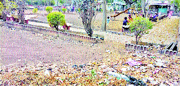 Sandalwood plantation due to lack of water | पाण्याअभावी वाळू लागल्या बागा Sandalwood plantation due to lack of water | पाण्याअभावी वाळू लागल्या बागा