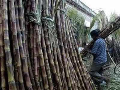 The possibility of banning the sending of sugarcane to Maharashtra for the purpose | उद्दिष्टपूर्तीसाठी महाराष्ट्रात ऊस पाठविण्यावर बंदीची शक्यता The possibility of banning the sending of sugarcane to Maharashtra for the purpose | उद्दिष्टपूर्तीसाठी महाराष्ट्रात ऊस पाठविण्यावर बंदीची शक्यता