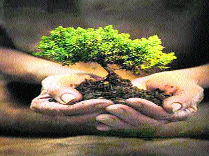 The highest number of trees in Panchavati, Cidkot | गणनेत पंचवटी, सिडकोत सर्वाधिक वृक्षसंख्या The highest number of trees in Panchavati, Cidkot | गणनेत पंचवटी, सिडकोत सर्वाधिक वृक्षसंख्या