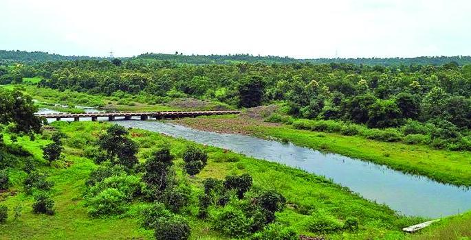 The rivers' conditions are dire ; Dead reserves in 46 dams! | भर पावसाळ्यात नद्यांची अवस्था भयावह; ४६ धरणांमध्ये मृत साठा!