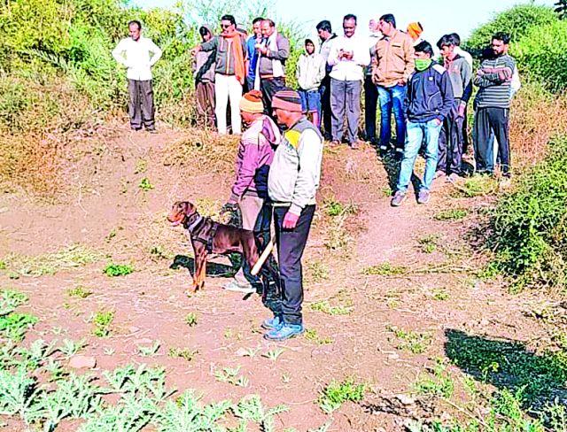 The death of the guard in the thieves attack | चोरट्यांच्या हल्ल्यात राखणदाराचा मृत्यू The death of the guard in the thieves attack | चोरट्यांच्या हल्ल्यात राखणदाराचा मृत्यू