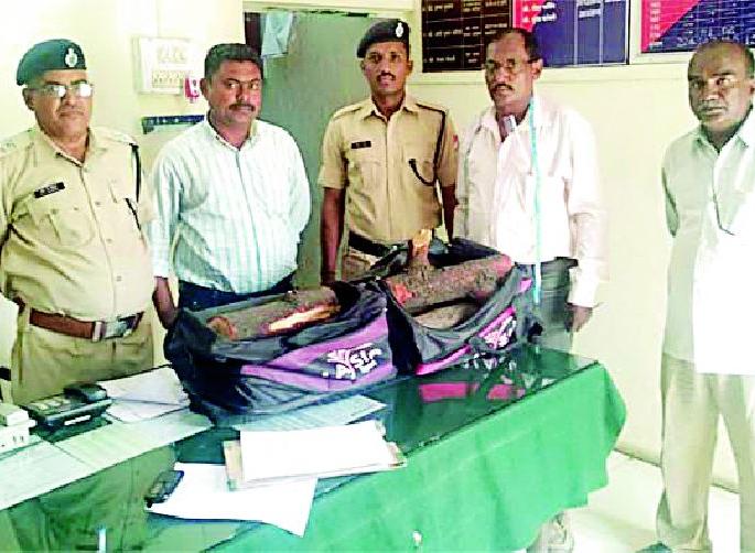 Five lakh sandalwood wood seized | पाच लाखांचे चंदन लाकूड जप्त Five lakh sandalwood wood seized | पाच लाखांचे चंदन लाकूड जप्त