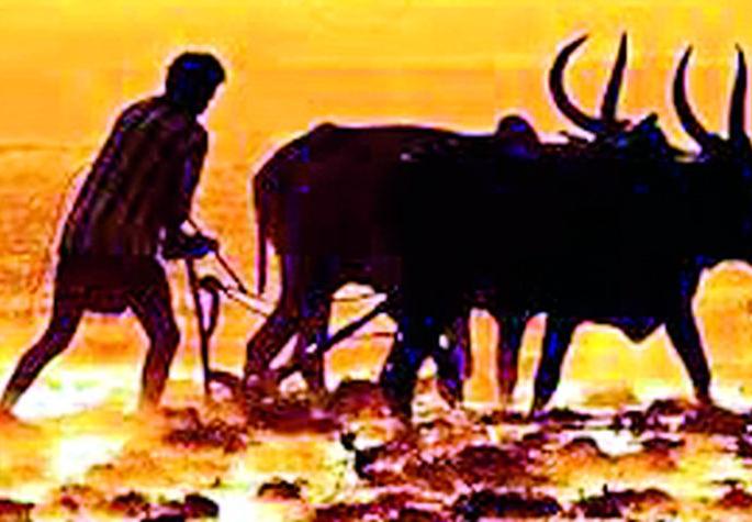 Almost farmers for pre-sowing cultivation | पेरणीपूर्व मशागतीसाठी शेतकऱ्यांची लगबग Almost farmers for pre-sowing cultivation | पेरणीपूर्व मशागतीसाठी शेतकऱ्यांची लगबग