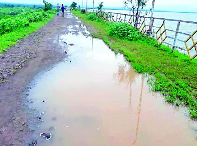 Digvardas Arunavati project is problematic | दिग्रसचा अरुणावती प्रकल्पच समस्याग्रस्त Digvardas Arunavati project is problematic | दिग्रसचा अरुणावती प्रकल्पच समस्याग्रस्त