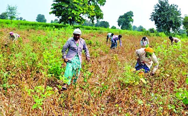 Eventually the entire district was declared drought-prone | अखेर संपूर्ण जिल्हाच दुष्काळग्रस्त घोषित