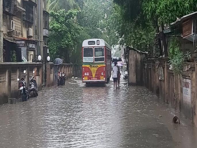 Rainy Super Sunday in Panvel; Batting all day | पनवेलमध्ये पावसाचा सुपर संडे; दिवसभर बॅटिंग Rainy Super Sunday in Panvel; Batting all day | पनवेलमध्ये पावसाचा सुपर संडे; दिवसभर बॅटिंग