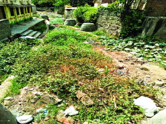 Das empire in the Indrayani river area | इंद्रायणी नदी परिसरात डासांचे साम्राज्य  Das empire in the Indrayani river area | इंद्रायणी नदी परिसरात डासांचे साम्राज्य