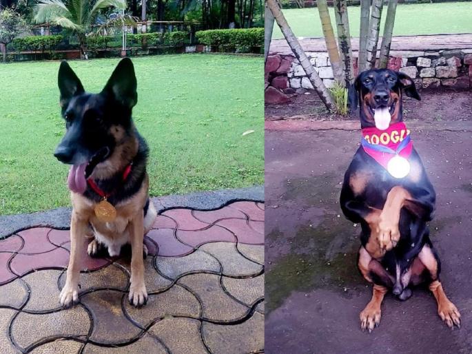 Nashik City Police Force's 'Google', 'Max' became champions; Earn gold, silver medals | नाशिक शहर पोलीस दलाचे ‘गुगल’, ‘मॅक्स’ ठरले चॅम्पियन; सुवर्ण, रौप्य पदकाची कमाई Nashik City Police Force's 'Google', 'Max' became champions; Earn gold, silver medals | नाशिक शहर पोलीस दलाचे ‘गुगल’, ‘मॅक्स’ ठरले चॅम्पियन; सुवर्ण, रौप्य पदकाची कमाई