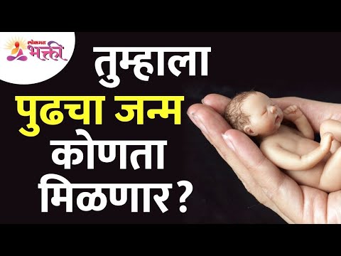 What will be your next birth? What will be your next birth? Punarjanma | Reincarnation | Rebirth | तुम्हाला पुढचा जन्म कोणता मिळणार? What will be your next birth? Punarjanma | Reincarnation | Rebirth What will be your next birth? What will be your next birth? Punarjanma | Reincarnation | Rebirth | तुम्हाला पुढचा जन्म कोणता मिळणार? What will be your next birth? Punarjanma | Reincarnation | Rebirth
