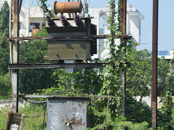 Dippy thorn fence with electric pole | विद्युत खांबासह डिपीला काटेरी कुंपण Dippy thorn fence with electric pole | विद्युत खांबासह डिपीला काटेरी कुंपण