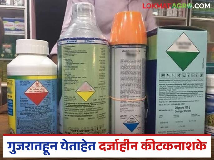 Substandard pesticides are coming from Gujarat; Farmers are buying them without hesitation, but there are questions about the quality of the drugs | गुजरातहून येताहेत दर्जाहीन कीटकनाशके; शेतकऱ्यांकडून बिनधास्तपणे सुरू आहे खरेदी तर औषधांच्या गुणवत्तेवर प्रश्नचिन्ह