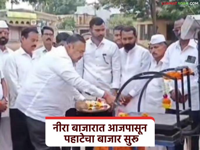 On the occasion of Dussehra, the morning market will start at Neera Bazaar Committee from today; The market will be open every day at 4 am | दसऱ्याच्या मुहूर्तावर नीरा बाजार समितीत आजपासून पहाटेचा बाजार सुरू; दररोज पहाटे ४ वाजता भरणार बाजार On the occasion of Dussehra, the morning market will start at Neera Bazaar Committee from today; The market will be open every day at 4 am | दसऱ्याच्या मुहूर्तावर नीरा बाजार समितीत आजपासून पहाटेचा बाजार सुरू; दररोज पहाटे ४ वाजता भरणार बाजार