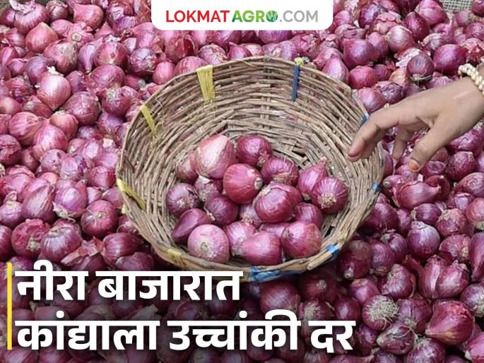 Highest price received in auction on first day; Onion auction begins at Neera Agricultural Produce Market Committee | पहिल्याच दिवशी लिलावात मिळाला उच्चांकी दर; नीरा कृषी उत्पन्न बाजार समितीत कांदा लिलाव सुरू Highest price received in auction on first day; Onion auction begins at Neera Agricultural Produce Market Committee | पहिल्याच दिवशी लिलावात मिळाला उच्चांकी दर; नीरा कृषी उत्पन्न बाजार समितीत कांदा लिलाव सुरू