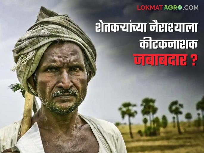 Farmers should avoid prolonged exposure to chemical agents; they are affecting the brain and causing depression | शेतकऱ्यांनो रासायनिक घटकांच्या दीर्घकाळ संपर्कात राहणे टाळा; मेंदूवर परिणाम होऊन नैराश्याची समस्या उद्भवतेय Farmers should avoid prolonged exposure to chemical agents; they are affecting the brain and causing depression | शेतकऱ्यांनो रासायनिक घटकांच्या दीर्घकाळ संपर्कात राहणे टाळा; मेंदूवर परिणाम होऊन नैराश्याची समस्या उद्भवतेय