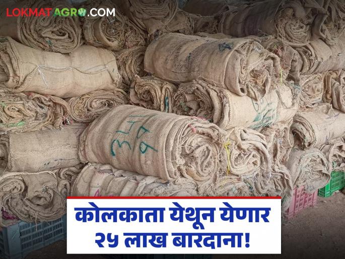 Soybean procurement, which was stalled due to lack of grain, will resume; 25 lakh grains will arrive from Kolkata | बारदान्याअभावी रखडलेली सोयबीन खरेदी होणार सुरू; कोलकाता येथून येणार २५ लाख बारदाना Soybean procurement, which was stalled due to lack of grain, will resume; 25 lakh grains will arrive from Kolkata | बारदान्याअभावी रखडलेली सोयबीन खरेदी होणार सुरू; कोलकाता येथून येणार २५ लाख बारदाना
