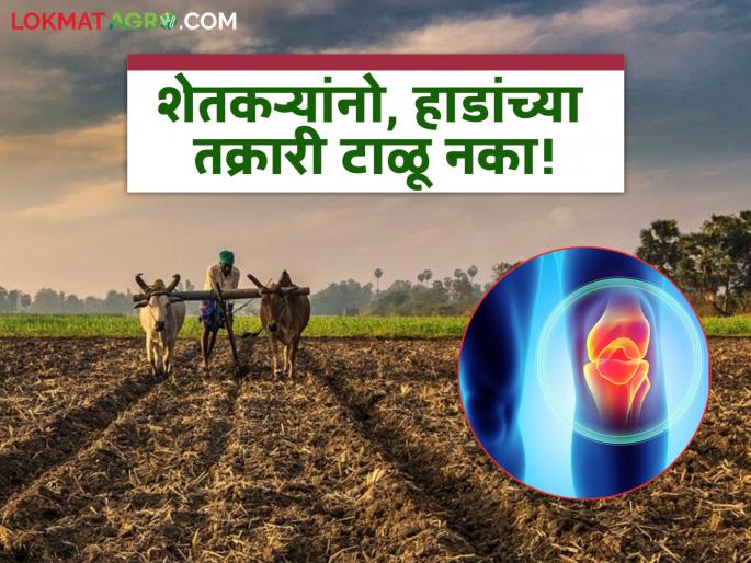 Diseases can arise in the workplace; Farmers, do not let bone problems be ignored | कामाच्या आवाक्यात उद्भवू शकतो आजार; शेतकरी बांधवांनो हाडांच्या समस्येकडे दुर्लक्ष होऊ देऊ नका Diseases can arise in the workplace; Farmers, do not let bone problems be ignored | कामाच्या आवाक्यात उद्भवू शकतो आजार; शेतकरी बांधवांनो हाडांच्या समस्येकडे दुर्लक्ष होऊ देऊ नका
