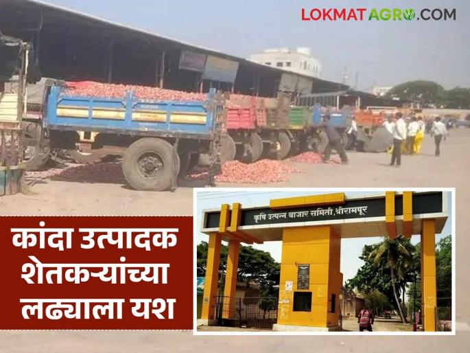 Open onion market to resume in Shrirampur Market Committee; Farmers' struggle a success | श्रीरामपूर बाजार समितीत मोकळा कांदा बाजार पूर्ववत सुरू होणार; शेतकऱ्यांच्या लढ्याला यश Open onion market to resume in Shrirampur Market Committee; Farmers' struggle a success | श्रीरामपूर बाजार समितीत मोकळा कांदा बाजार पूर्ववत सुरू होणार; शेतकऱ्यांच्या लढ्याला यश