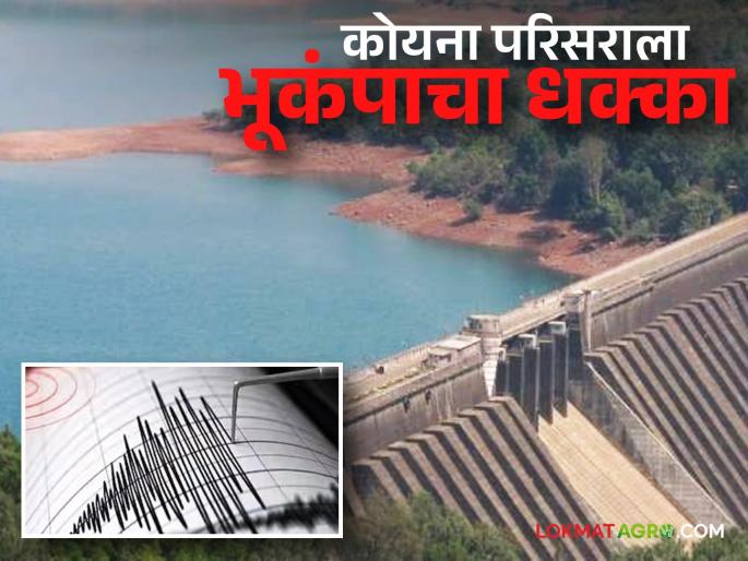 Koyna Dam catchment area hit by 2.9 magnitude earthquake; Is there any threat to Koyna Dam? | कोयना धरण पाणलोट क्षेत्राला बसला २.९ तिव्रतेचा भूकंपाचा धक्का; कोयना धरणाला धोका?