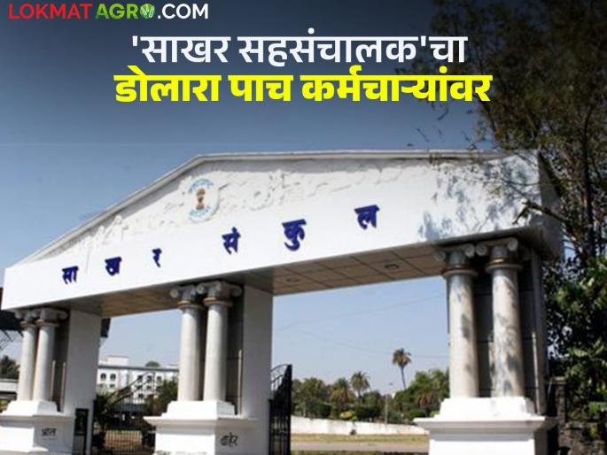 The condition of the office with a turnover of 15 thousand crores is dire; Half the posts, including the sugar joint director, are vacant | पंधरा हजार कोटींची उलाढाल असलेल्या कार्यालयाची अवस्था बिकट; साखर सहसंचालकांसह निम्मी पदे रिक्त The condition of the office with a turnover of 15 thousand crores is dire; Half the posts, including the sugar joint director, are vacant | पंधरा हजार कोटींची उलाढाल असलेल्या कार्यालयाची अवस्था बिकट; साखर सहसंचालकांसह निम्मी पदे रिक्त