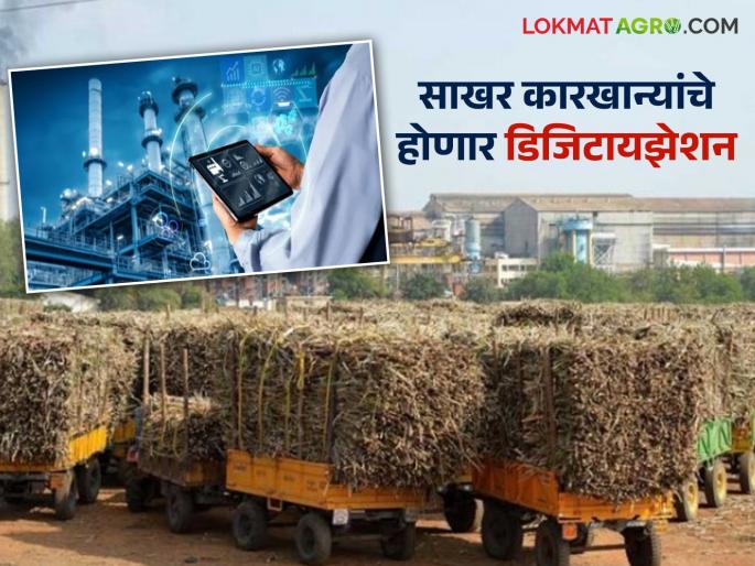 New policy for sugar industry from the central government; Read in detail what will be the benefits of the new changes for farmers | केंद्र सरकारकडून साखर उद्योगासाठी नवे धोरण; नव्या बदलांचा शेतकऱ्यांना काय होणार फायदा वाचा सविस्तर New policy for sugar industry from the central government; Read in detail what will be the benefits of the new changes for farmers | केंद्र सरकारकडून साखर उद्योगासाठी नवे धोरण; नव्या बदलांचा शेतकऱ्यांना काय होणार फायदा वाचा सविस्तर