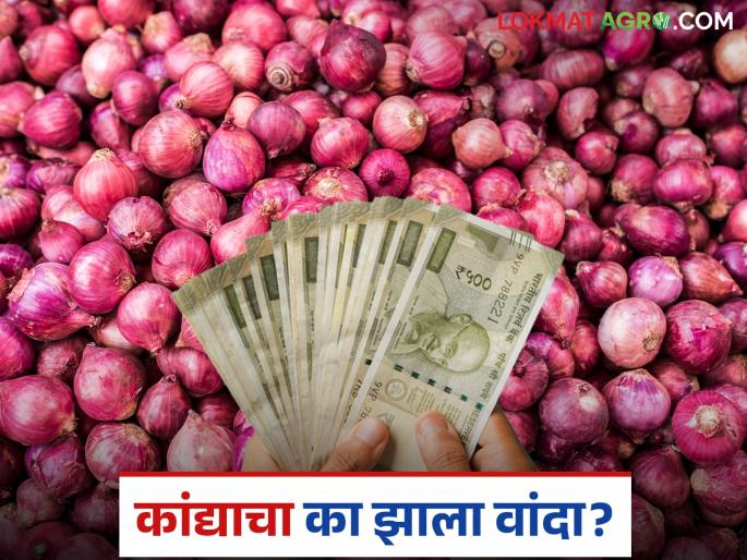 If you keep it, it rots, and if you sell it, it makes you cry; | ठेवला तर सडतोय अन् विकला की रडवतोय; कांद्याचा का झाला वांदा?