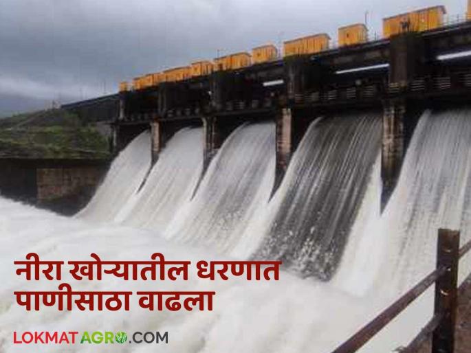 Water storage in the dam in the Nira valley has increased; Solapur, Pune and Satara districts will get relief | नीरा खोऱ्यातील धरणात पाणीसाठा वाढला; सोलापूरसह पुणे, सातारा जिल्ह्यांना मिळणार दिलासा