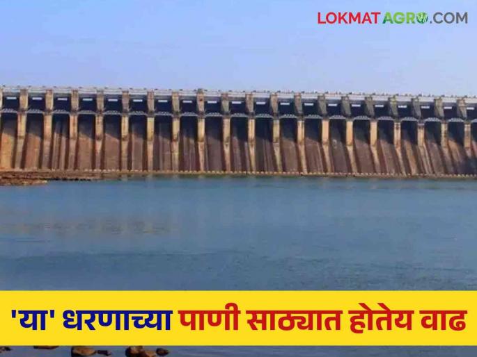 Maharashtra Dam Storage The water storage is increasing in this dam of North Maharashtra; Know the information about water resources of the state | Maharashtra Dam Storage उत्तर महाराष्ट्राच्या या धरणात वाढतोय पाणीसाठा; जाणून घ्या राज्याच्या पाणीसाठ्याची माहिती Maharashtra Dam Storage The water storage is increasing in this dam of North Maharashtra; Know the information about water resources of the state | Maharashtra Dam Storage उत्तर महाराष्ट्राच्या या धरणात वाढतोय पाणीसाठा; जाणून घ्या राज्याच्या पाणीसाठ्याची माहिती