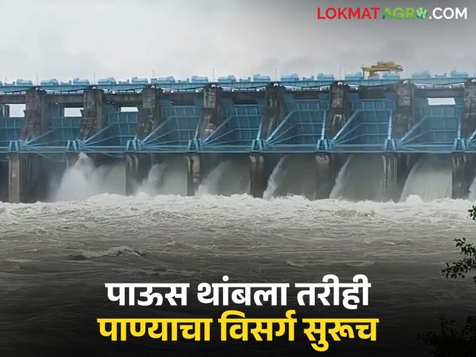Due to this reason, water discharge continues from Pujaritola, Kalisrar, Shirpurbandh dams even after the rain has stopped. | 'या' कारणास्तव पुजारीटोला, कालीसरार, शिरपूरबांध या धरणातून पाऊस थांबला असतांनाही सुरू आहे विसर्ग Due to this reason, water discharge continues from Pujaritola, Kalisrar, Shirpurbandh dams even after the rain has stopped. | 'या' कारणास्तव पुजारीटोला, कालीसरार, शिरपूरबांध या धरणातून पाऊस थांबला असतांनाही सुरू आहे विसर्ग