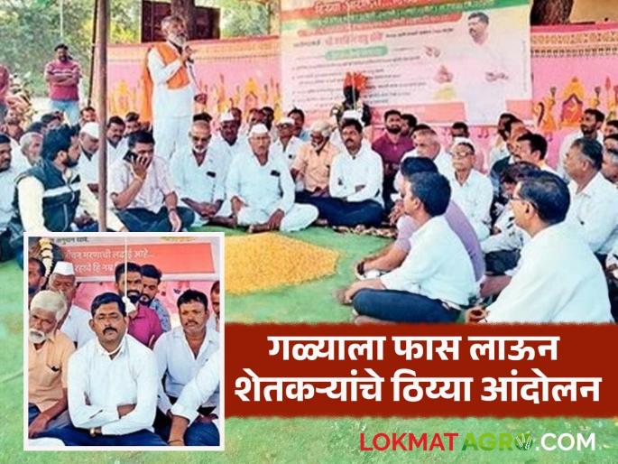 Farmers protest in Umrane Market Committee for the second day; Demand that the government start purchasing maize at guaranteed price | उमराणे बाजार समितीत दुसऱ्या दिवशीही शेतकऱ्यांचा ठिय्या; शासनाने हमीभावाने मका खरेदी सुरू करण्याची मागणी