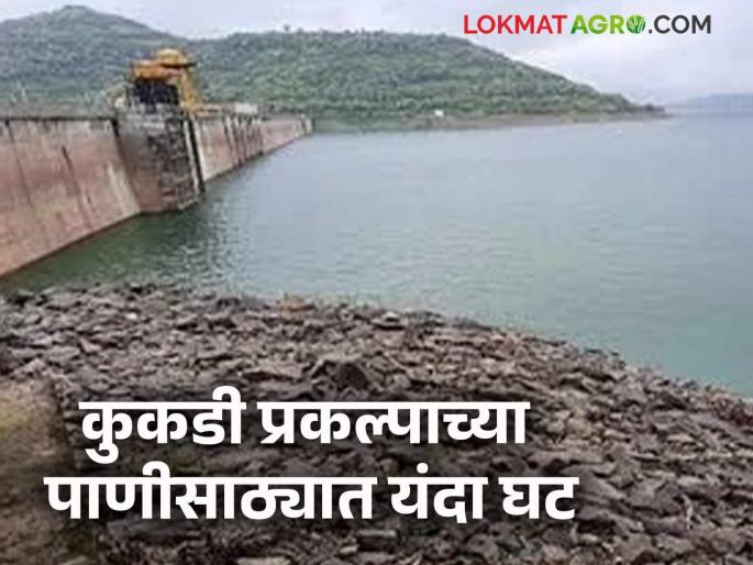 19.08 percent water storage remaining in Kukdi project; 3 percent decrease in water storage this year compared to last year | कुकडी प्रकल्पात १९.०८ टक्के पाणीसाठा शिल्लक; गतवर्षीच्या तुलनेत यंदा ३ टक्क्यांनी पाणीसाठ्यात घट 19.08 percent water storage remaining in Kukdi project; 3 percent decrease in water storage this year compared to last year | कुकडी प्रकल्पात १९.०८ टक्के पाणीसाठा शिल्लक; गतवर्षीच्या तुलनेत यंदा ३ टक्क्यांनी पाणीसाठ्यात घट