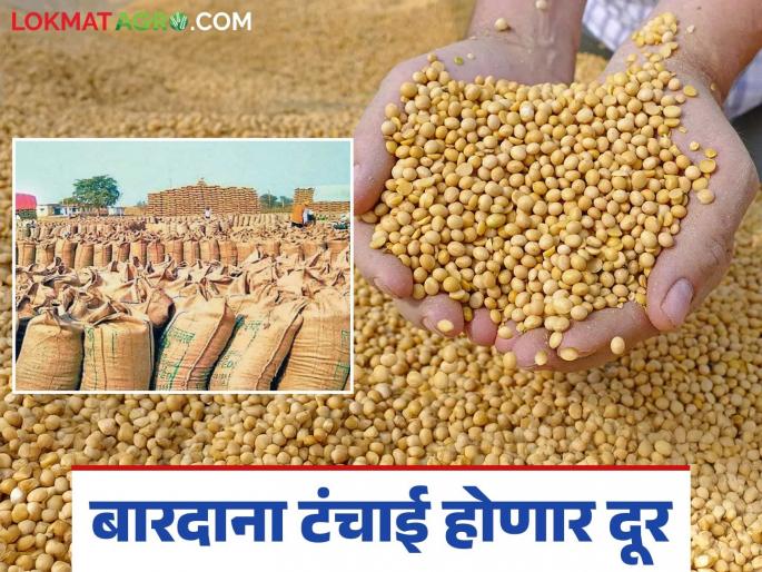 Deposit soybean purchase payments into farmers' accounts quickly; Marketing Minister | सोयाबीन खरेदीचे पेमेंट जलद गतीने शेतकऱ्यांच्या खात्यात जमा करा; पणन मंत्री Deposit soybean purchase payments into farmers' accounts quickly; Marketing Minister | सोयाबीन खरेदीचे पेमेंट जलद गतीने शेतकऱ्यांच्या खात्यात जमा करा; पणन मंत्री